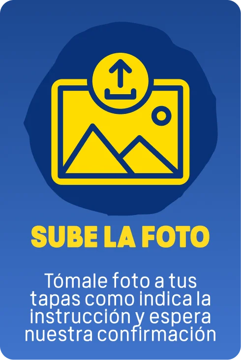 Paso 3