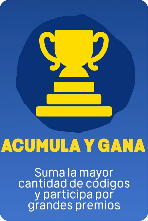 Paso 4