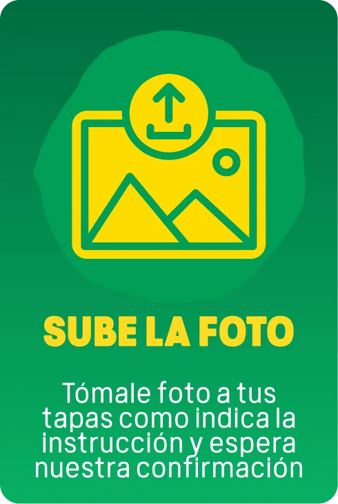 Paso 3