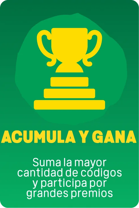 Paso 4