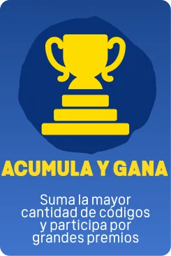 Paso 4